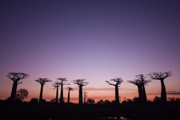3 - Photos Madagascar